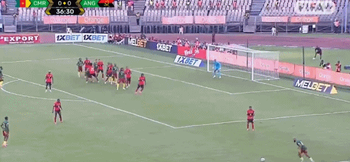 dbf, 洲区预选赛