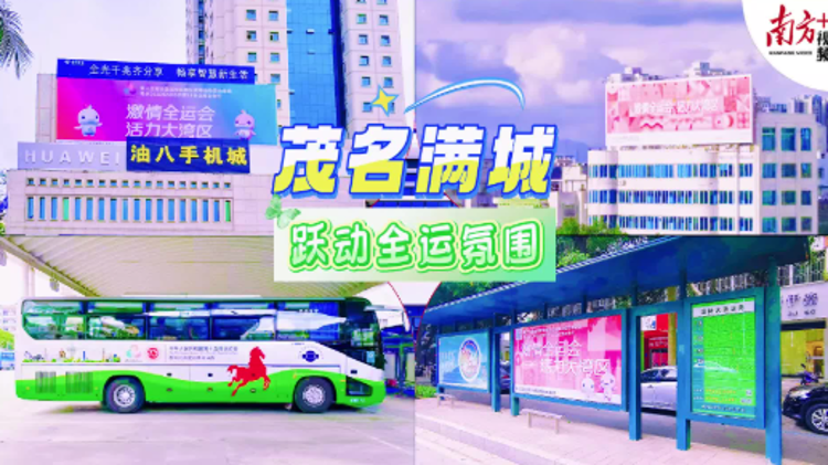 爱好者齐聚, msn, video 爱好者齐聚, msn, video